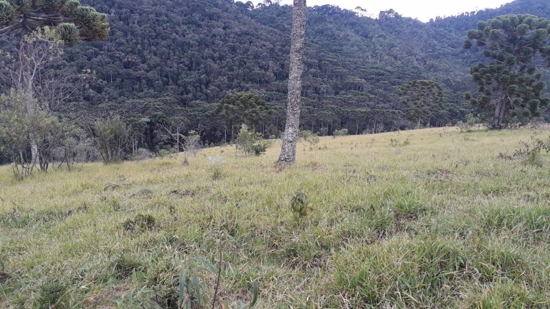 Terreno, 911 m² - Foto 3