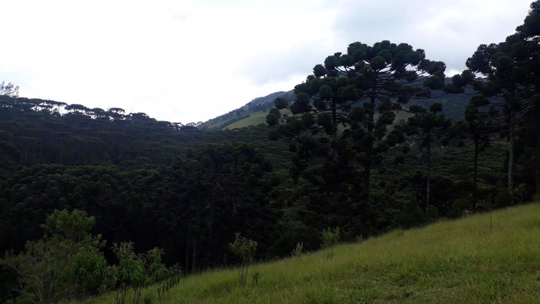 Terreno, 911 m² - Foto 2