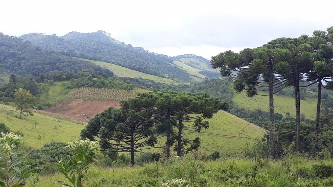 Terreno, 911 m² - Foto 4