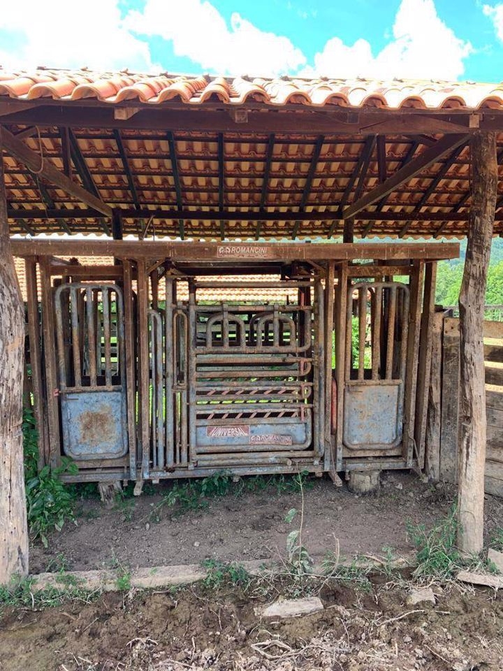 Fazenda-Sítio-Chácara, 200 m² - Foto 6