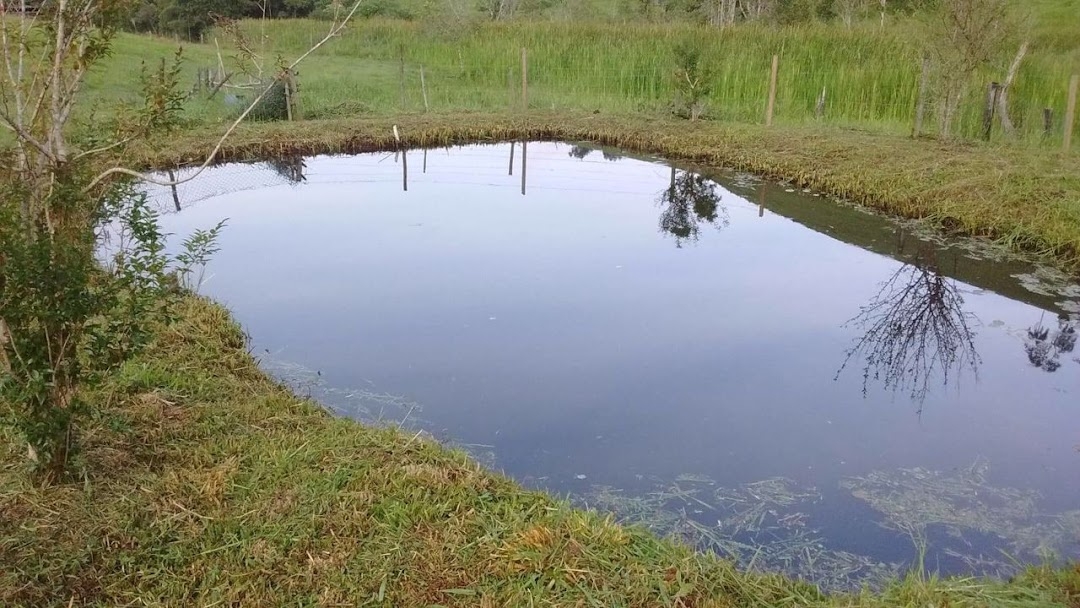 Sítio, 4 quartos, 17 hectares - Foto 3