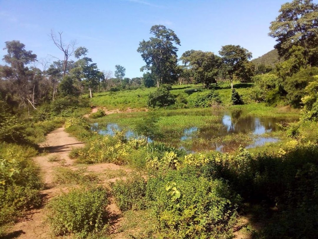 Fazenda-Sítio-Chácara, 200 m² - Foto 9