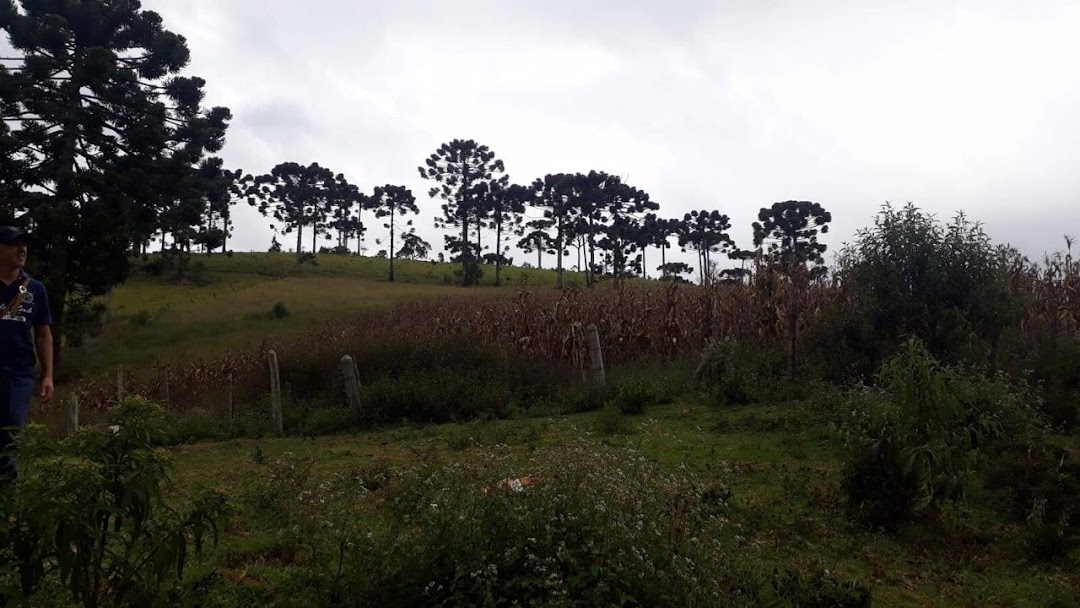 Terreno, 911 m² - Foto 19