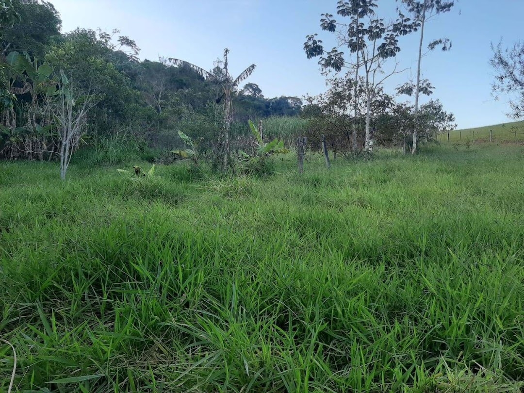 Sítio, 3 quartos, 200 m² - Foto 3