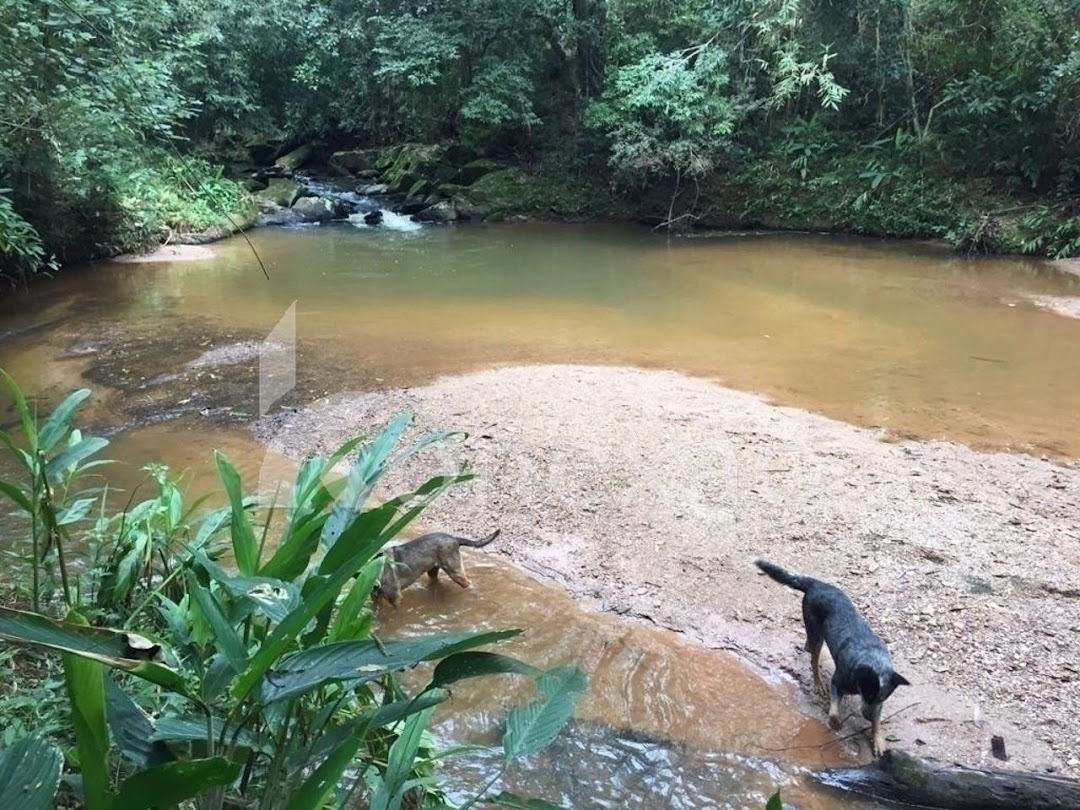 Sítio, 4 quartos, 19 m² - Foto 1