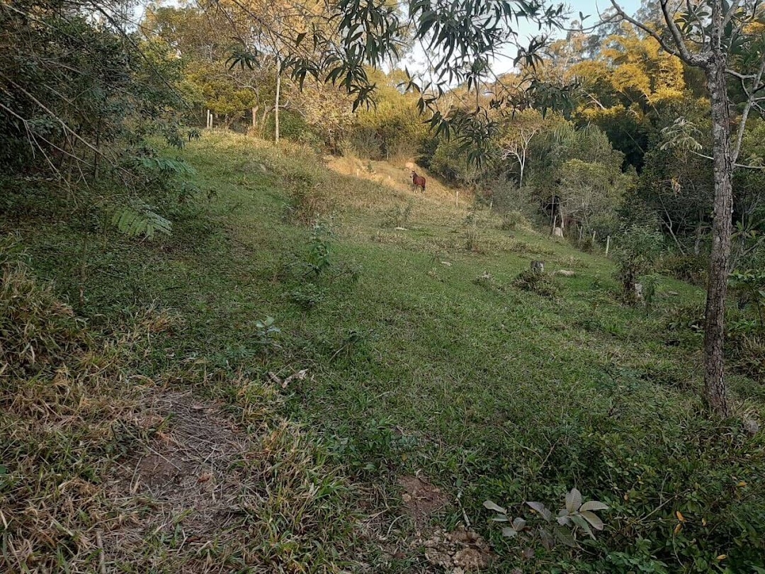 Sítio, 3 quartos, 200 m² - Foto 2