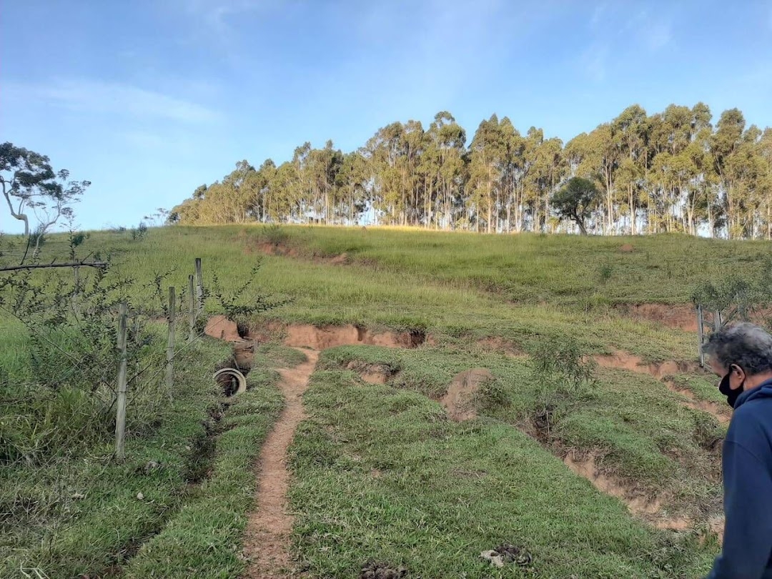 Sítio, 3 quartos, 200 m² - Foto 4