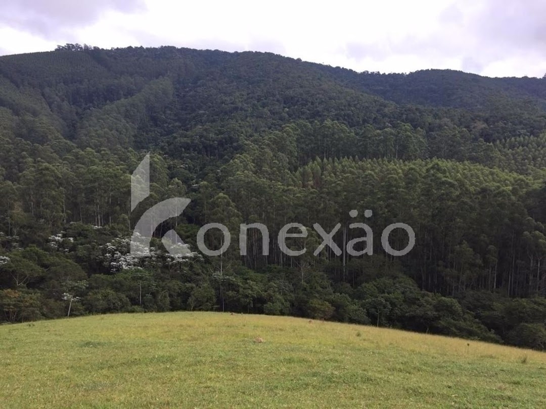 Sítio, 4 quartos, 19 m² - Foto 5