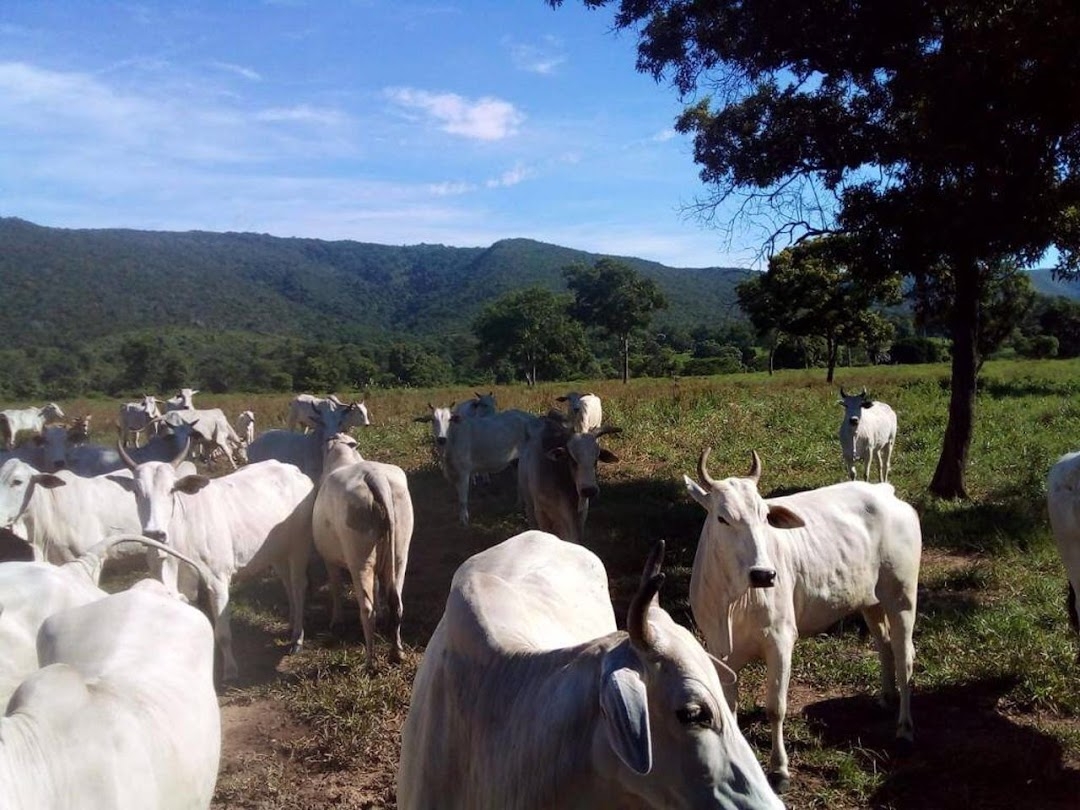 Fazenda-Sítio-Chácara, 200 m² - Foto 2