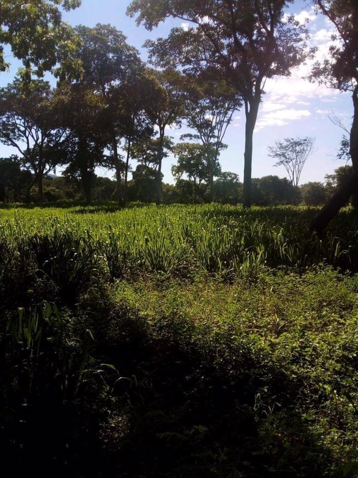 Fazenda-Sítio-Chácara, 200 m² - Foto 26