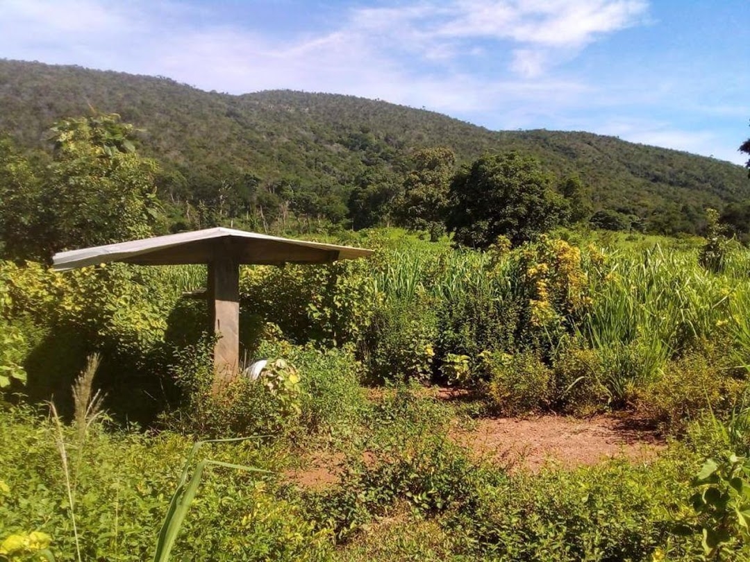 Fazenda-Sítio-Chácara, 200 m² - Foto 14