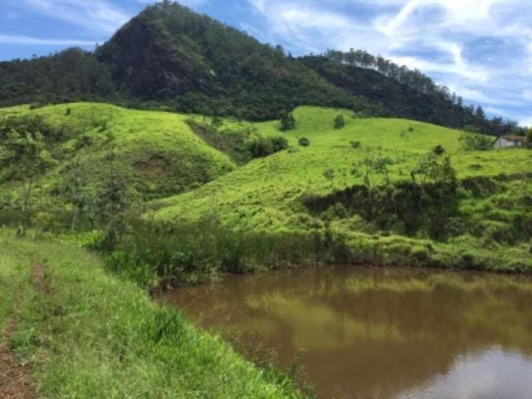 Fazenda, 387 hectares - Foto 2