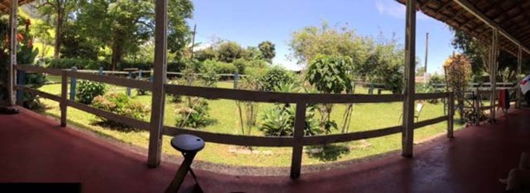 Fazenda, 387 hectares - Foto 3