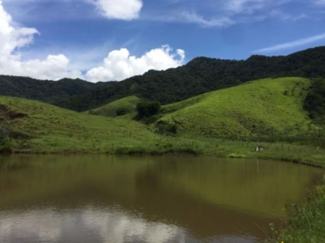 Fazenda em Cruzeiro/São Paulo — Ref TPM3QJ — Imagem 9