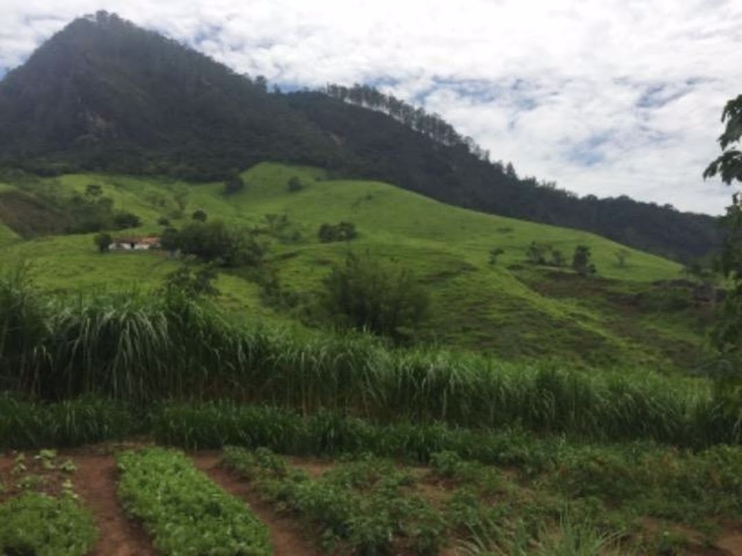 Fazenda em Cruzeiro/São Paulo — Ref TPM3QJ — Imagem 15