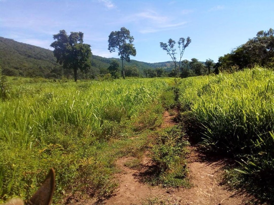 Fazenda-Sítio-Chácara, 200 m² - Foto 18