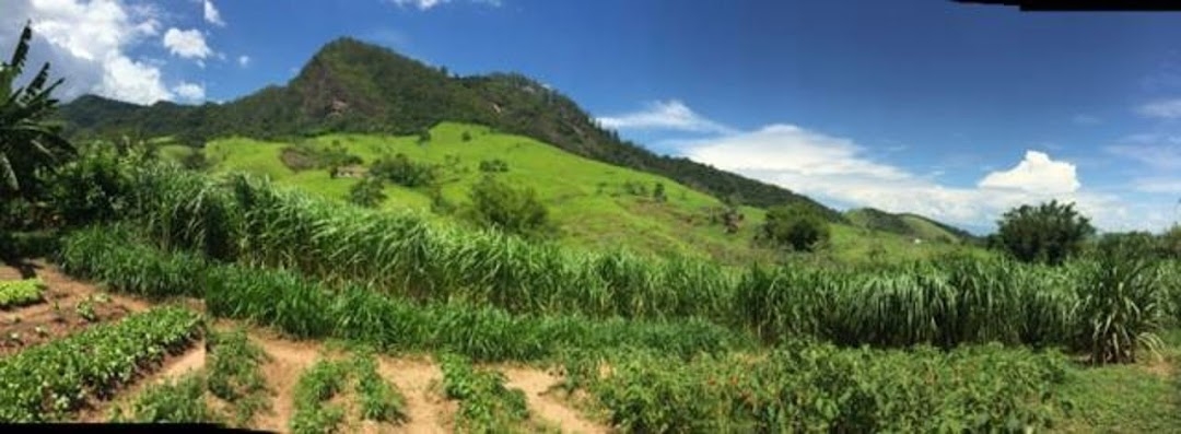 Fazenda em Cruzeiro/São Paulo — Ref TPM3QJ — Imagem 16