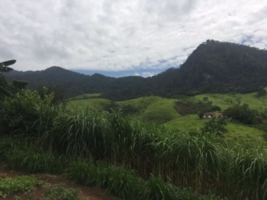 Fazenda em Cruzeiro/São Paulo — Ref TPM3QJ — Imagem 11