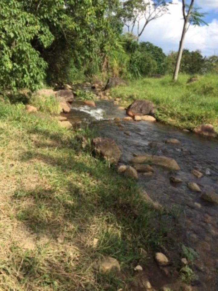 Fazenda em Cruzeiro/São Paulo — Ref TPM3QJ — Imagem 8