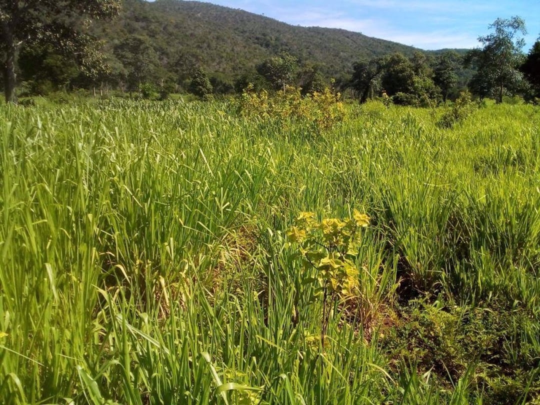 Fazenda-Sítio-Chácara, 200 m² - Foto 21