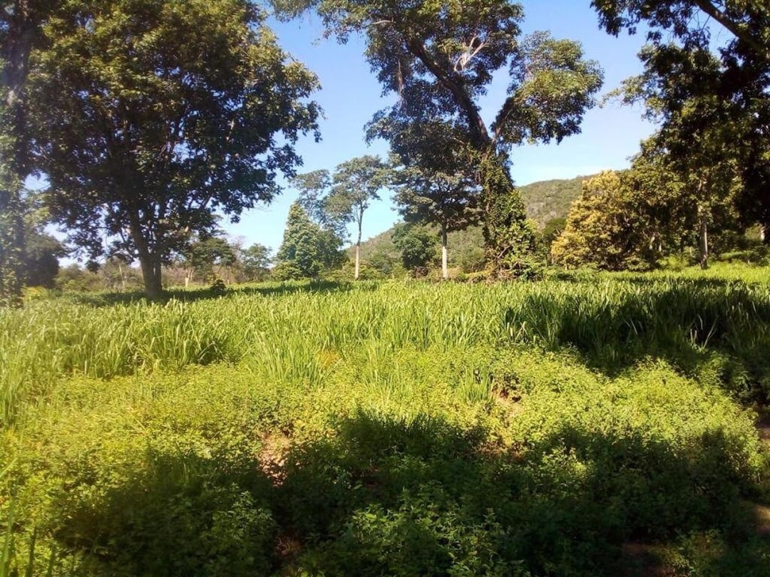 Fazenda-Sítio-Chácara, 200 m² - Foto 22