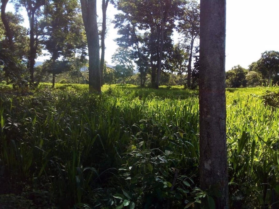 Fazenda-Sítio-Chácara, 200 m² - Foto 24