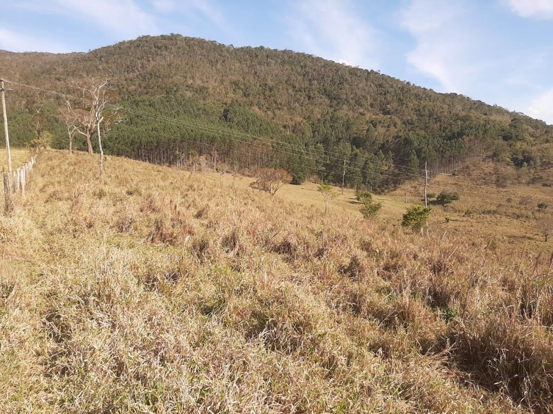 Fazenda, 150 hectares - Foto 6