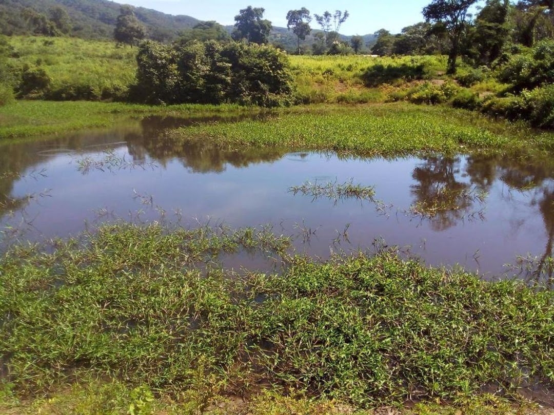 Fazenda-Sítio-Chácara, 200 m² - Foto 20