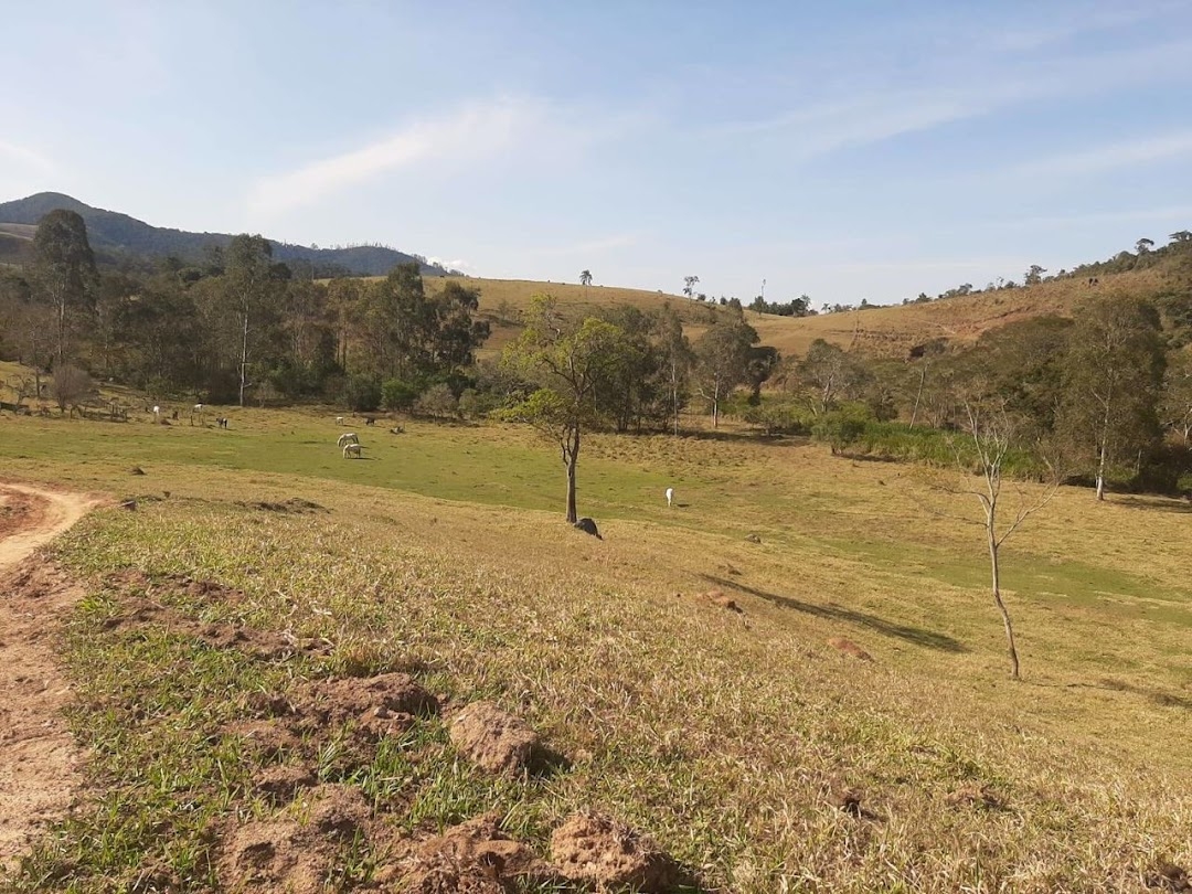 Fazenda, 150 hectares - Foto 1