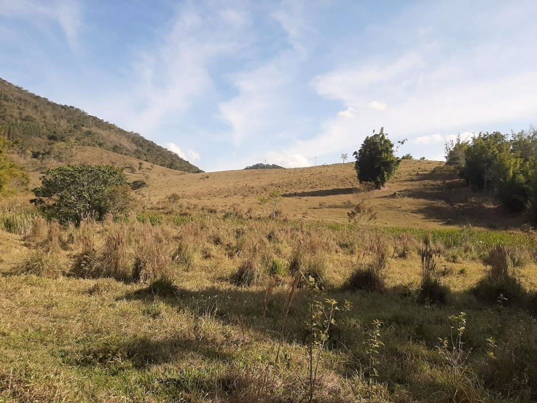 Fazenda, 150 hectares - Foto 5