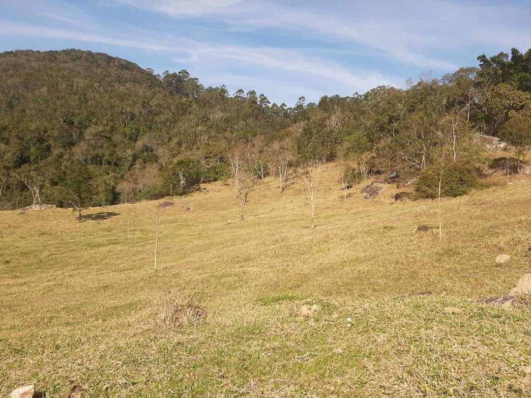 Fazenda, 150 hectares - Foto 16
