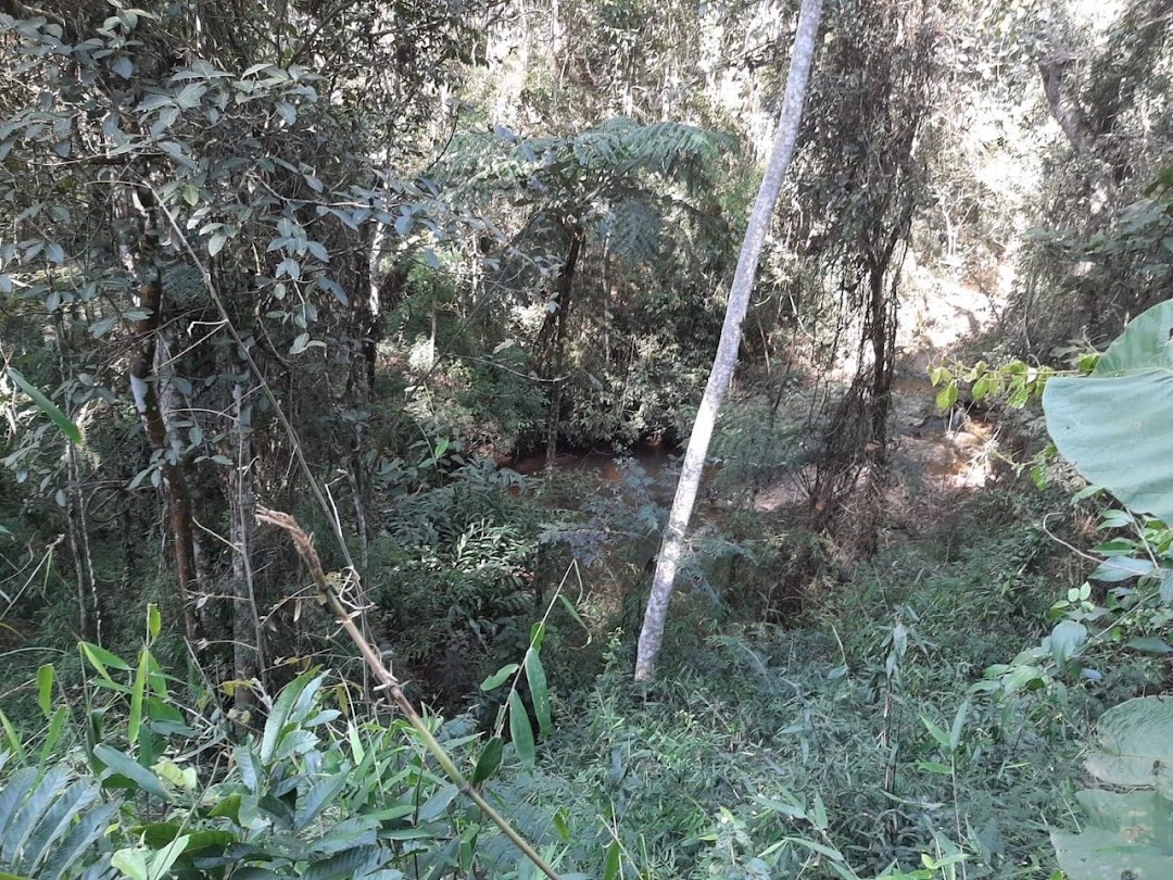 Fazenda, 150 hectares - Foto 18