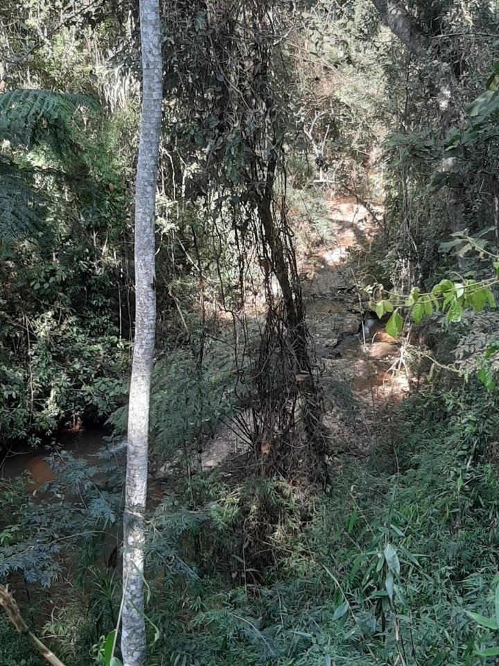 Fazenda, 150 hectares - Foto 19