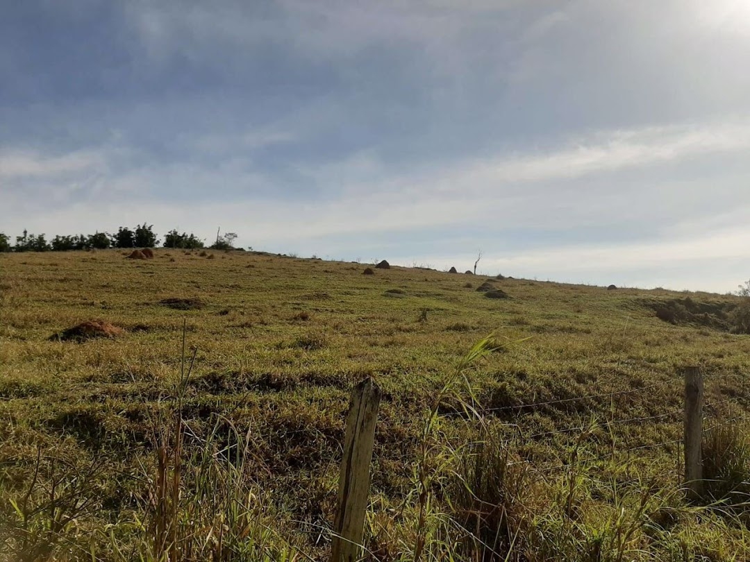 Fazenda, 150 hectares - Foto 7