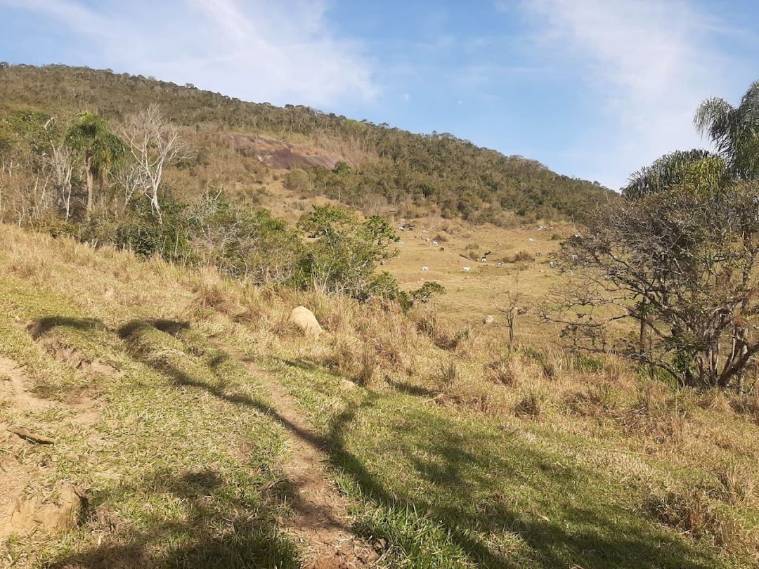 Fazenda, 150 hectares - Foto 11