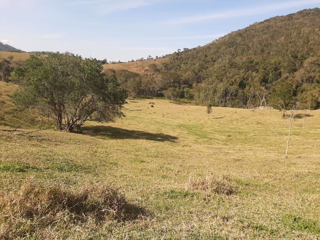 Fazenda, 150 hectares - Foto 15