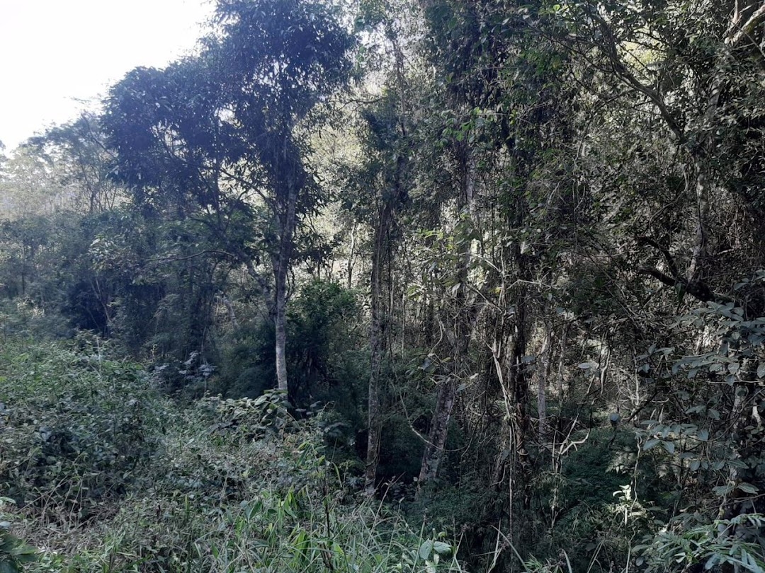 Fazenda, 150 hectares - Foto 20