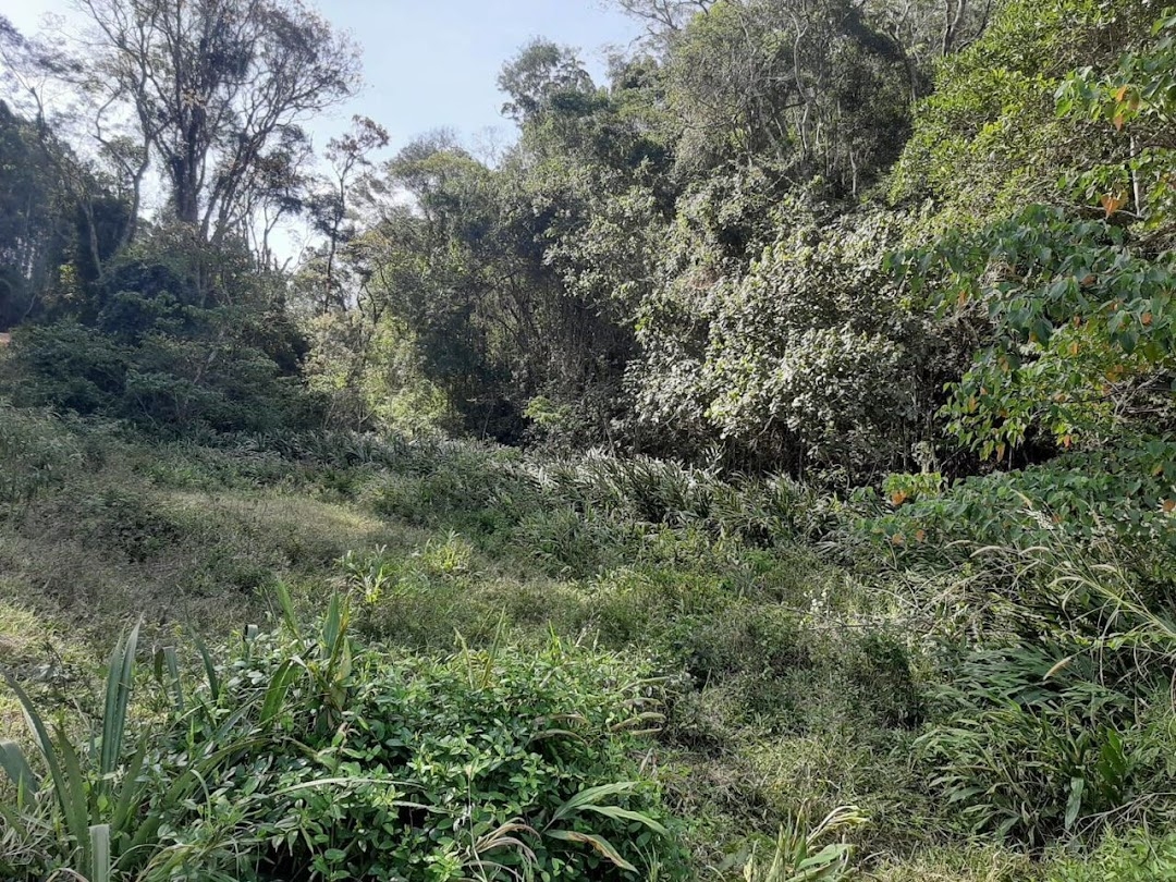 Fazenda, 150 hectares - Foto 21