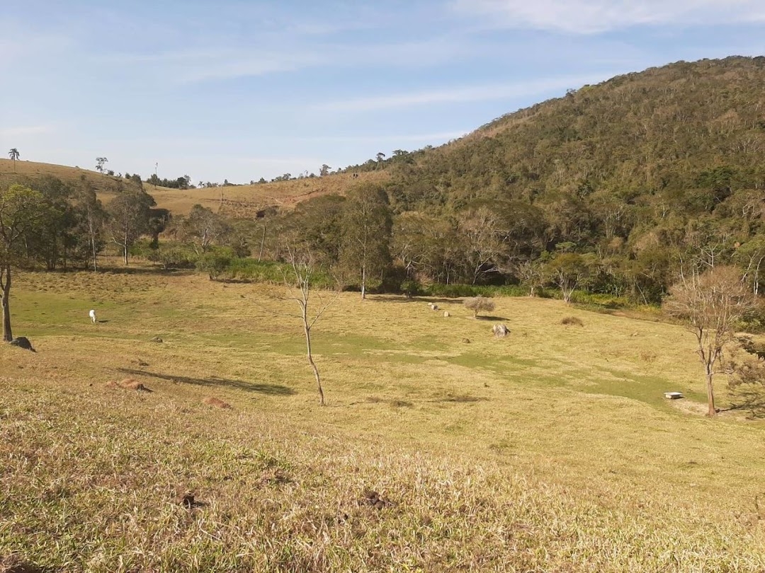 Fazenda, 150 hectares - Foto 13