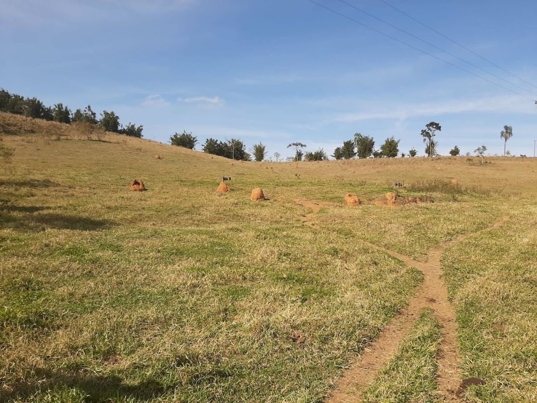 Fazenda, 150 hectares - Foto 14