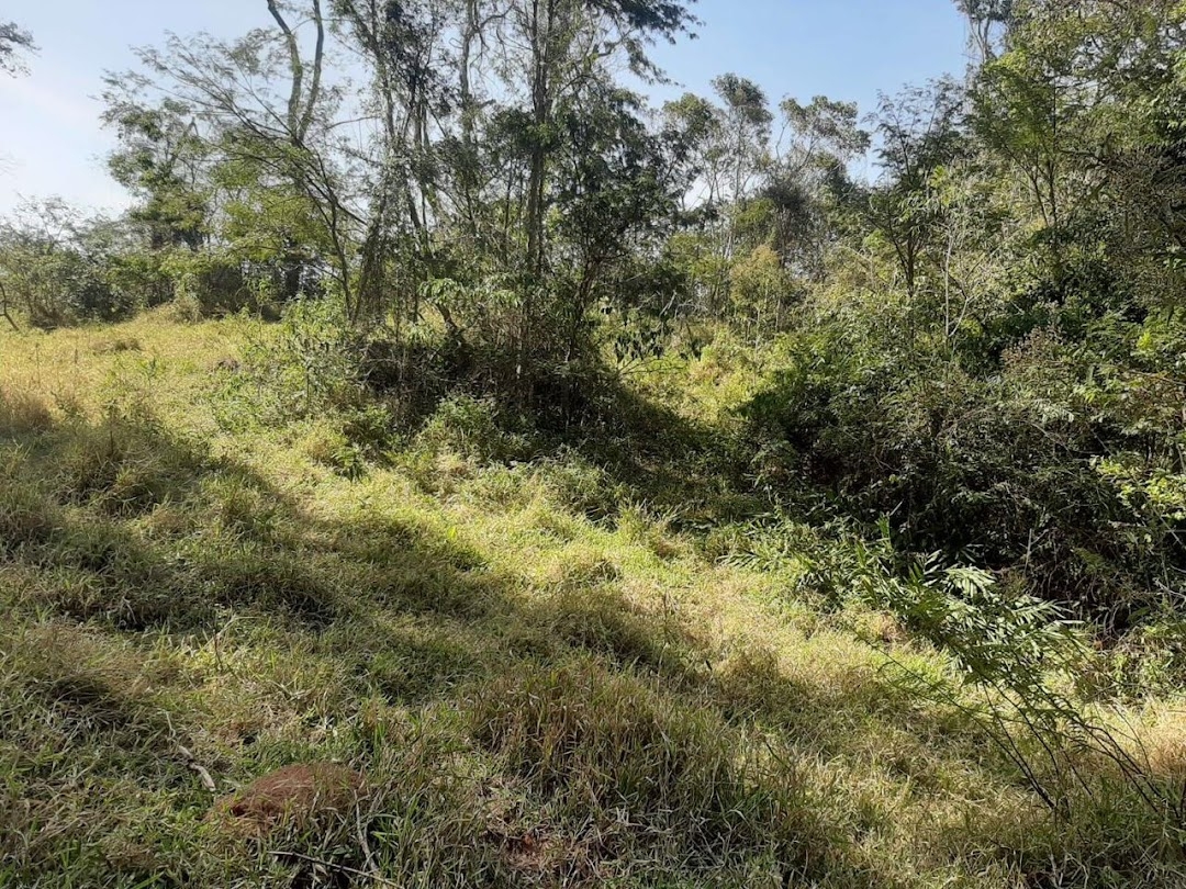 Fazenda, 150 hectares - Foto 17