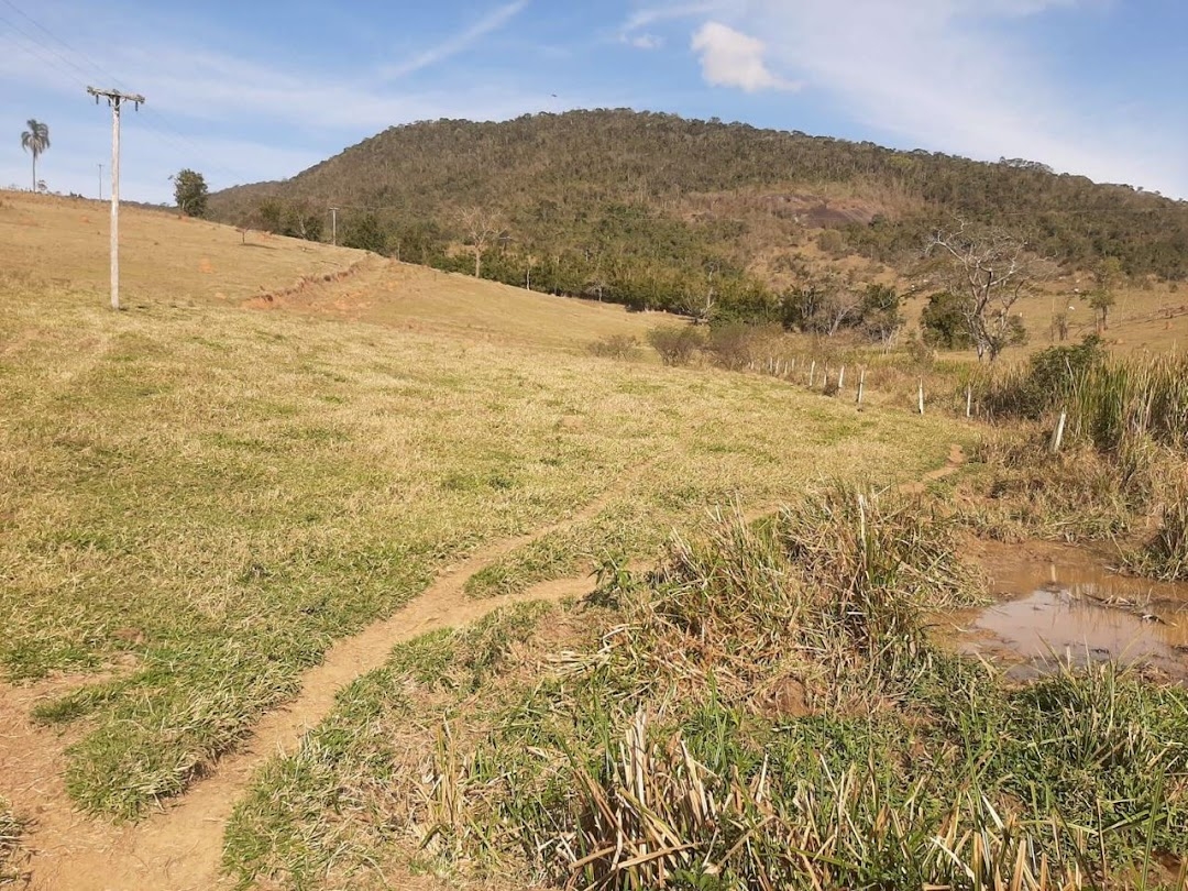 Fazenda, 150 hectares - Foto 12