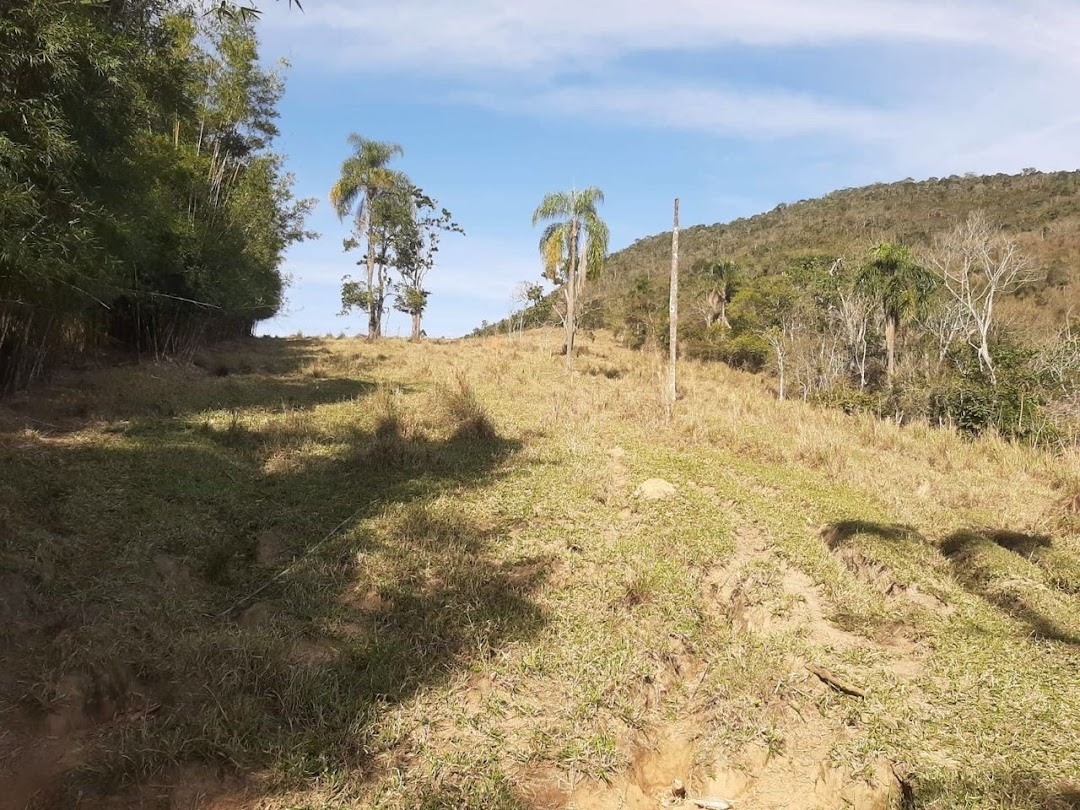 Fazenda, 150 hectares - Foto 8