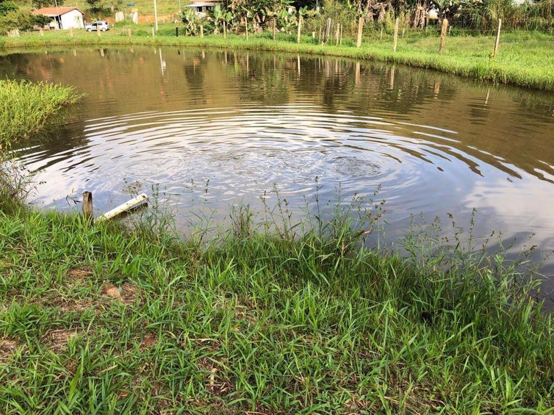 Sítio, 3 quartos, 266 m² - Foto 7