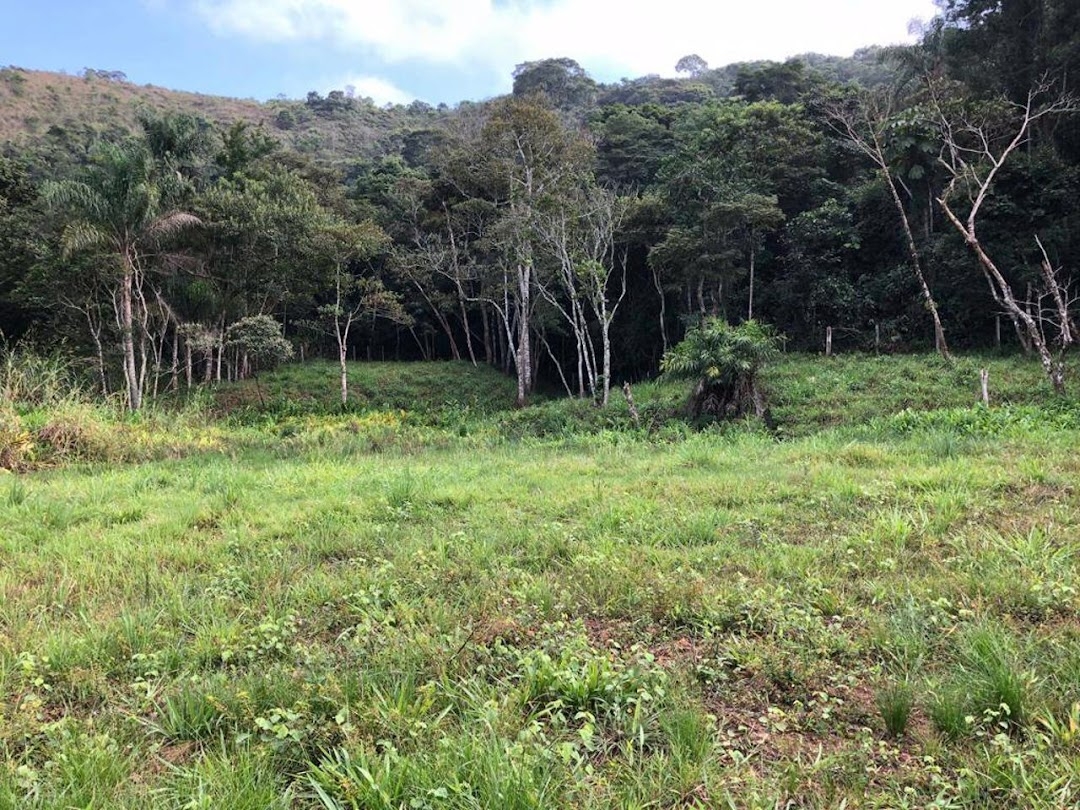 Sítio, 3 quartos, 266 m² - Foto 6