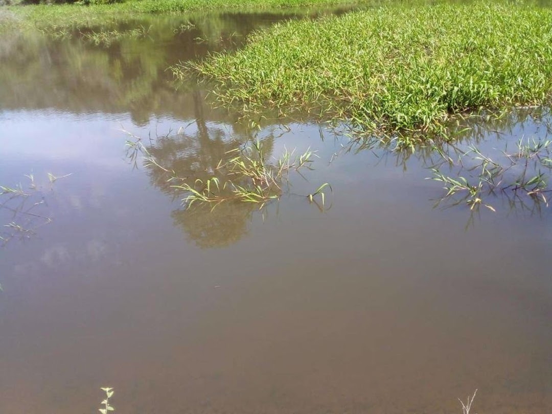 Fazenda-Sítio-Chácara, 200 m² - Foto 19