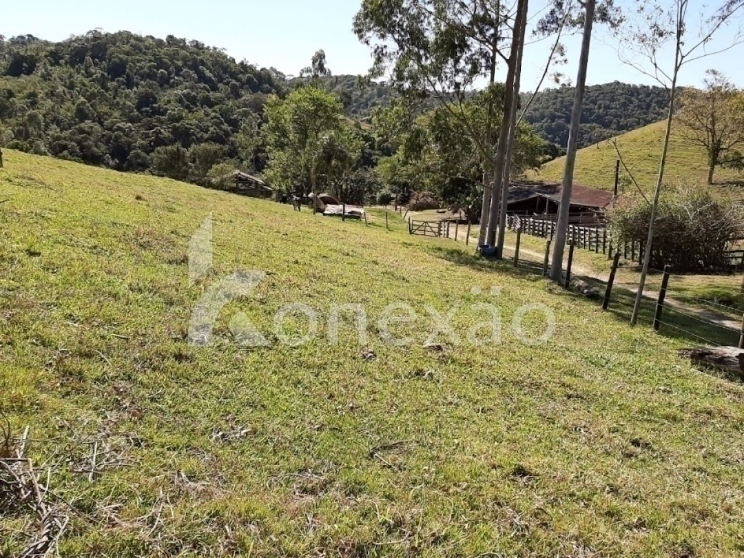 Sítio, 3 quartos, 200 m² - Foto 5