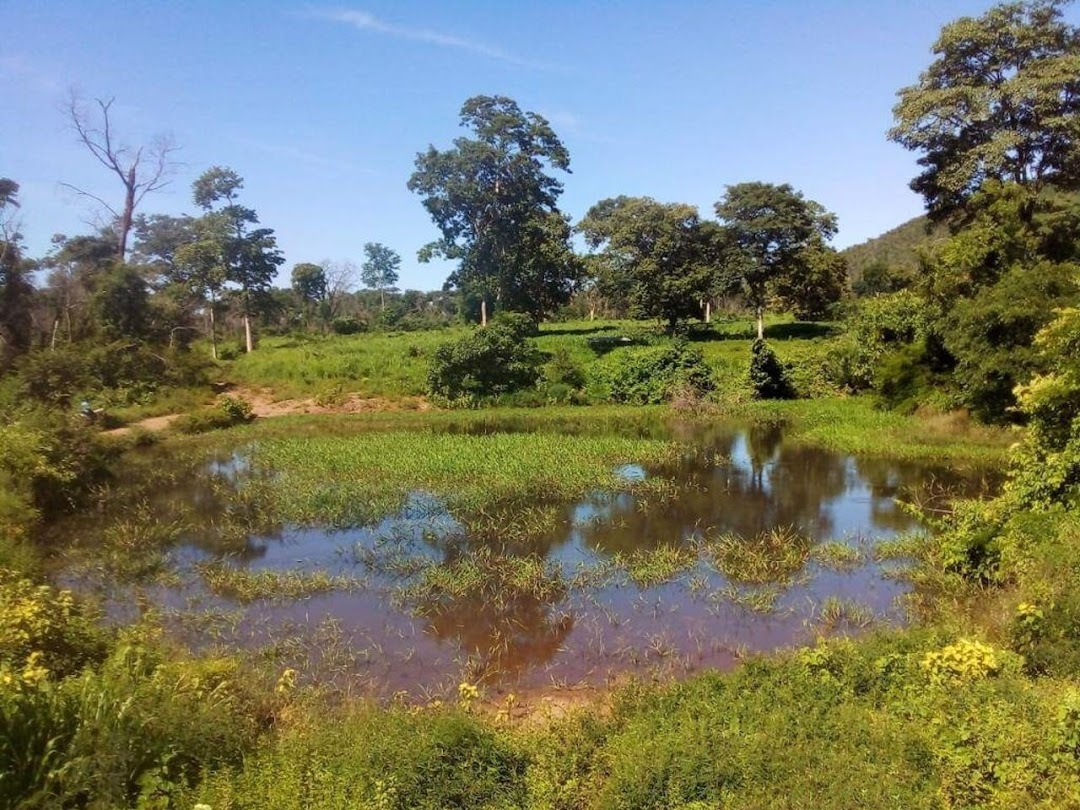 Fazenda-Sítio-Chácara, 200 m² - Foto 13