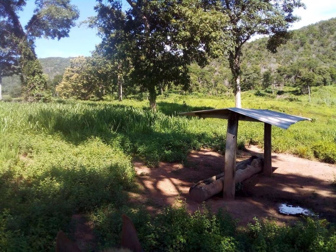 Fazenda-Sítio-Chácara, 200 m² - Foto 15