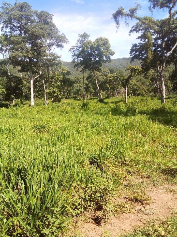 Fazenda-Sítio-Chácara, 200 m² - Foto 27